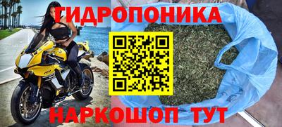 ГАЛЛЮЦИНОГЕННЫЕ ГРИБЫ Апшеронск