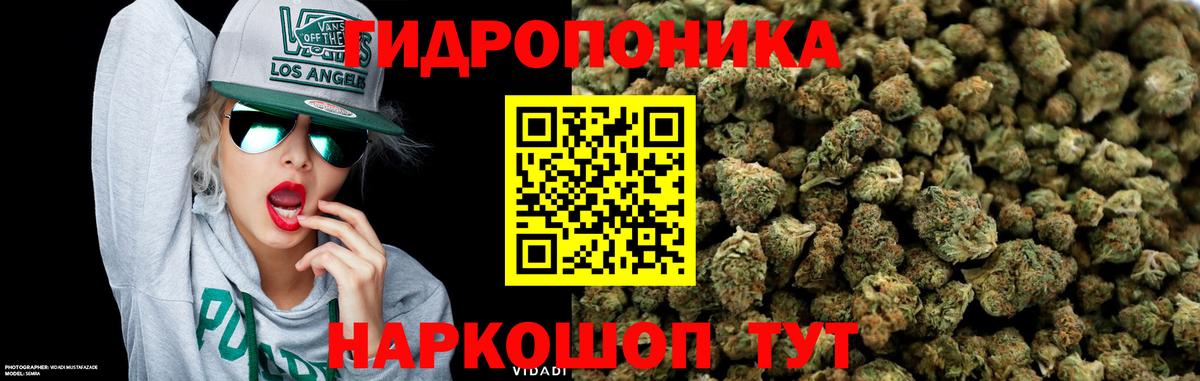 Бошки Шишки тримм Владимир